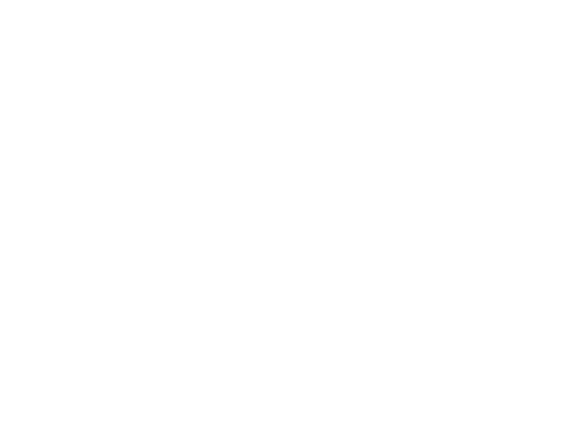 Onyx Consult